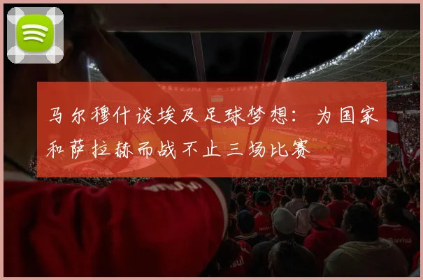 马尔穆什谈埃及足球梦想：为国家和萨拉赫而战不止三场比赛
